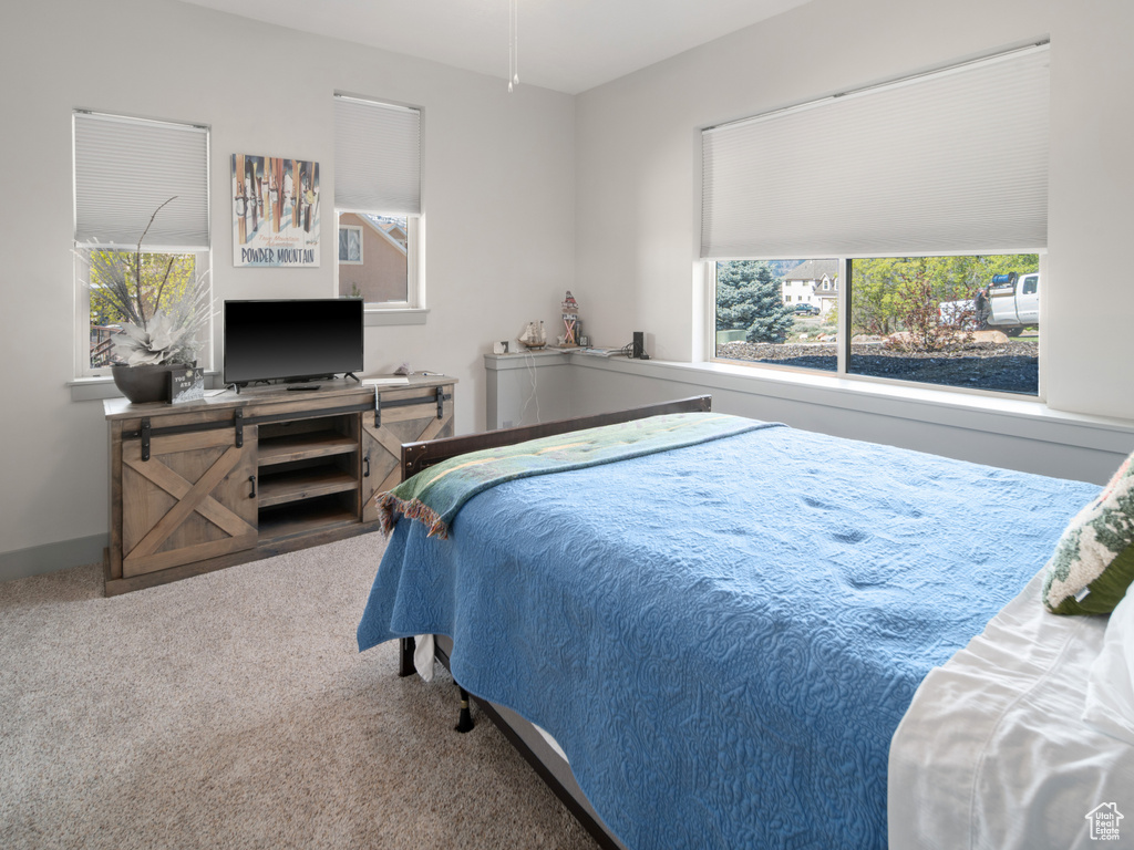 Bedroom featuring carpet