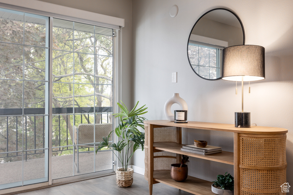Entryway featuring baseboards, plenty of natural light, and wood finished floors