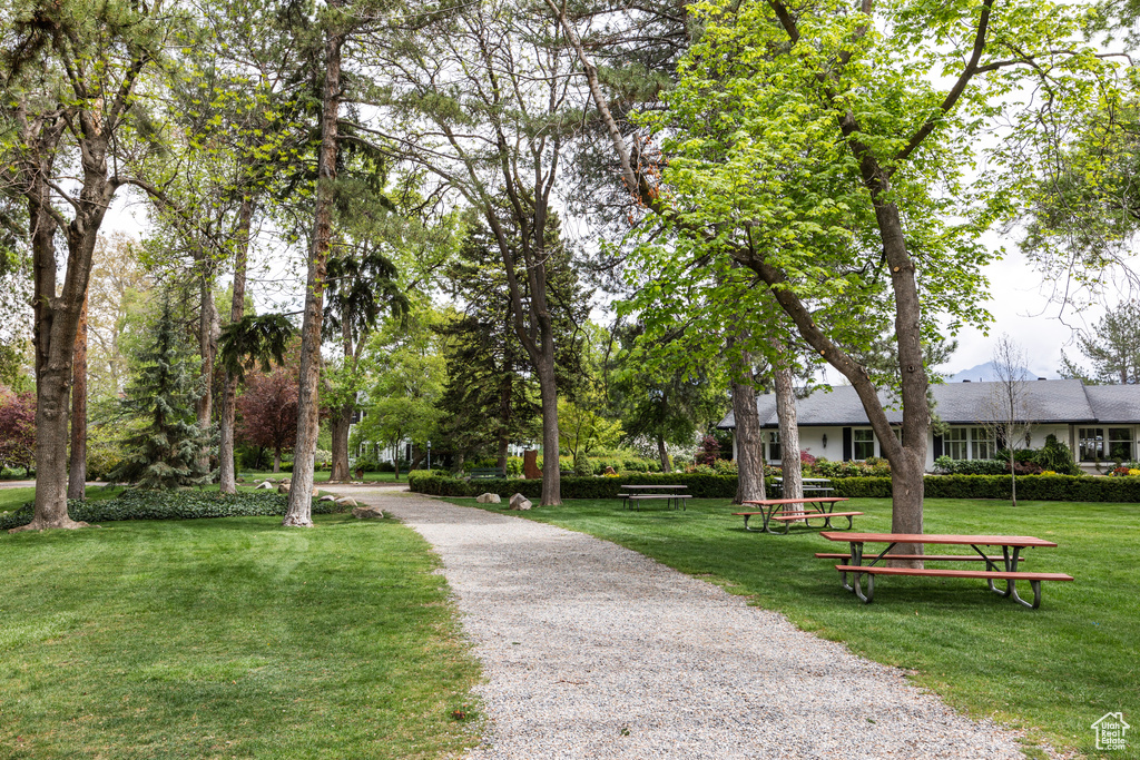 View of home\'s community with a yard