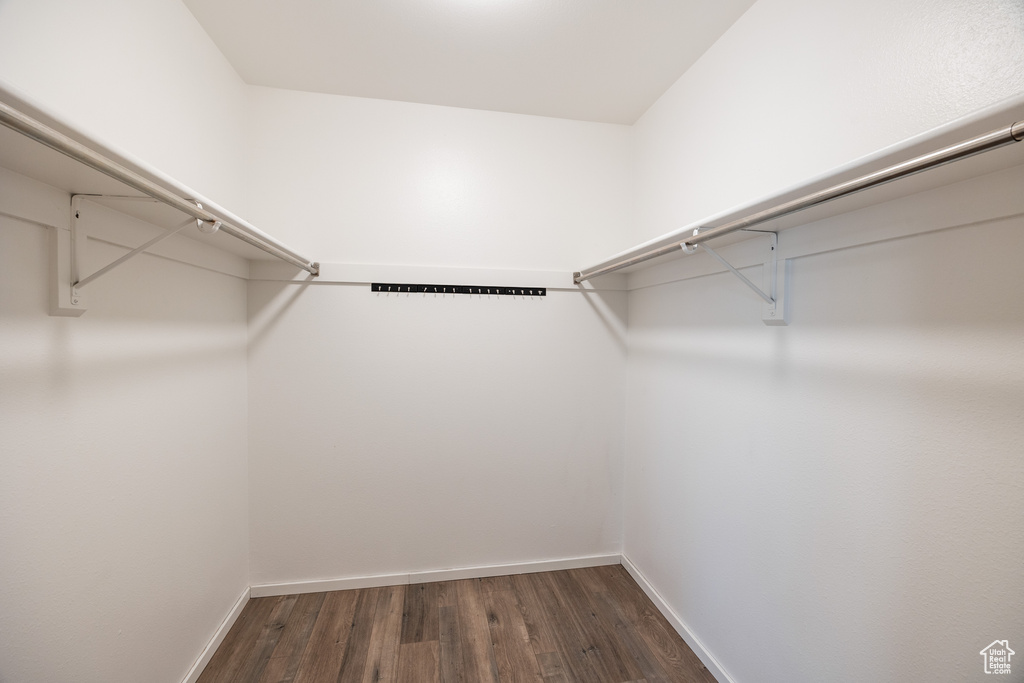 Spacious closet with dark wood-style flooring