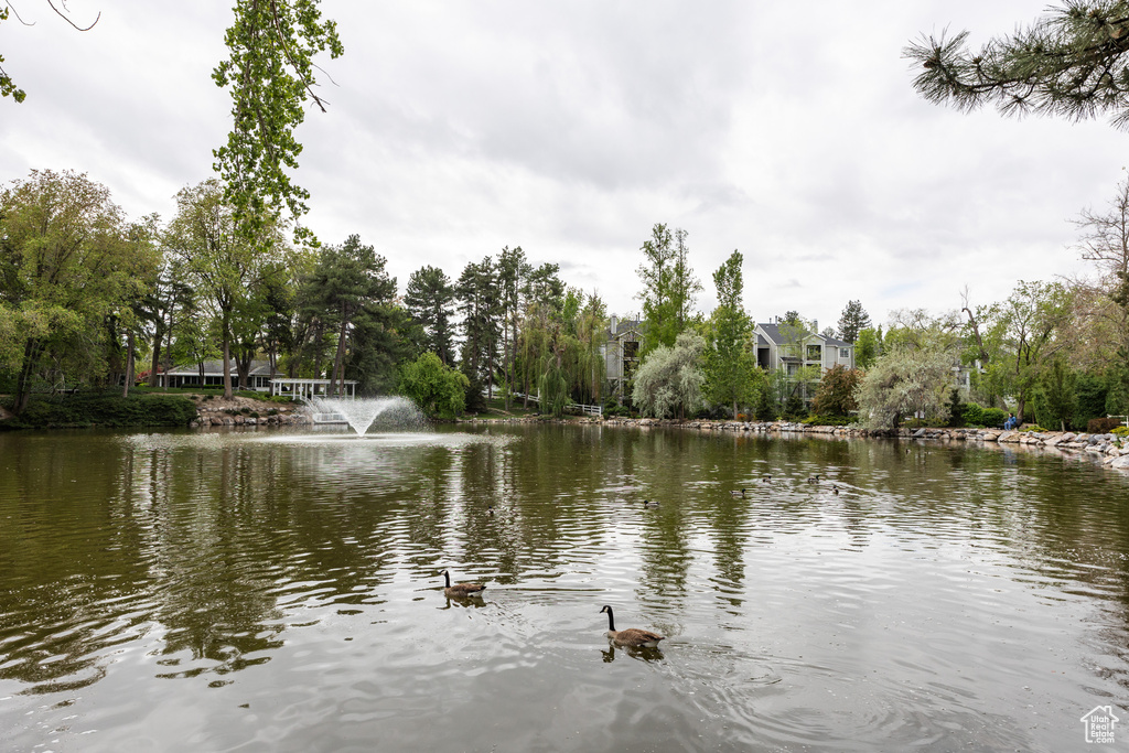 View of water feature