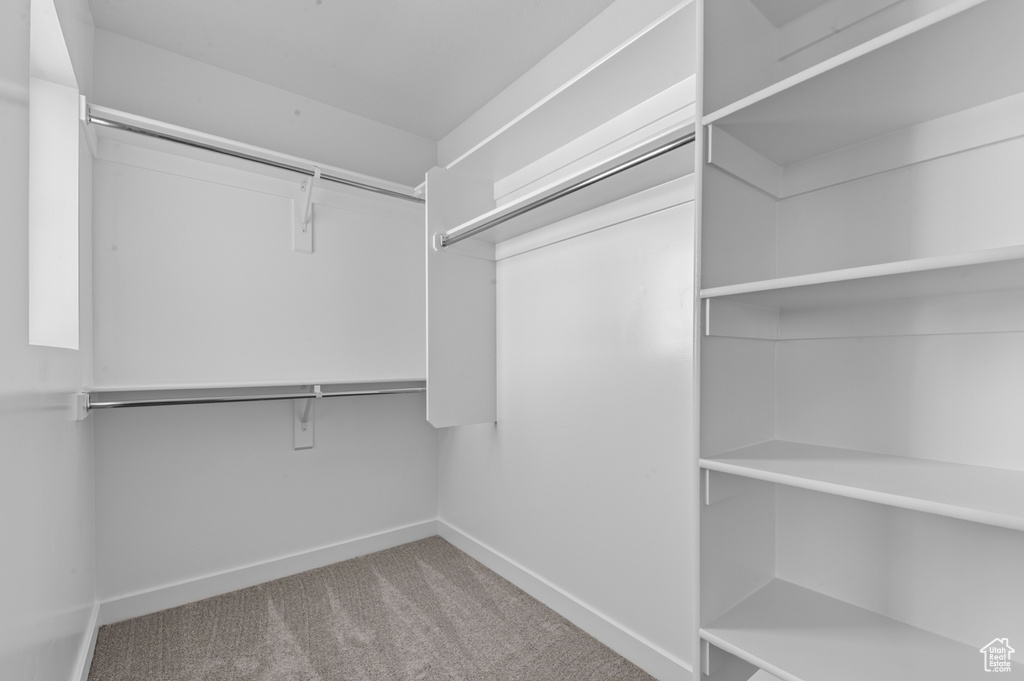 Spacious closet featuring carpet