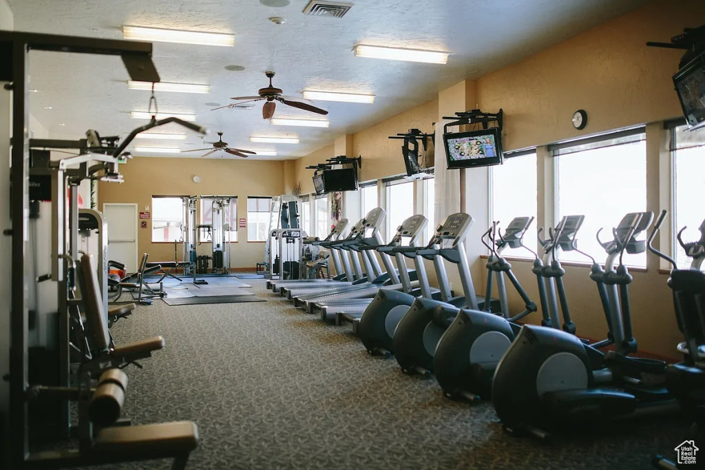 Exercise room with carpet, a ceiling fan, and visible vents