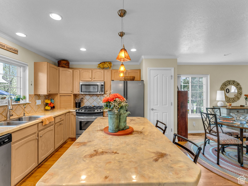 Kitchen featuring light countertops, appliances with stainless steel finishes, plenty of natural light, and a sink