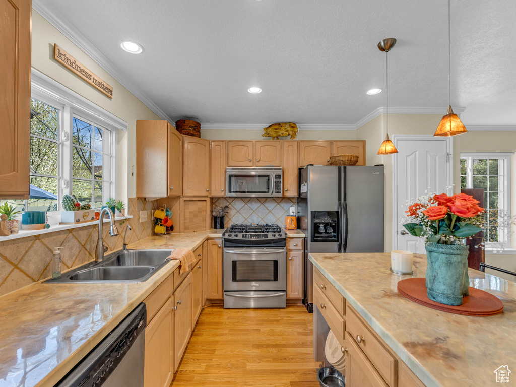 Kitchen with ornamental molding, light wood-style floors, light countertops, a sink, and stainless steel appliances