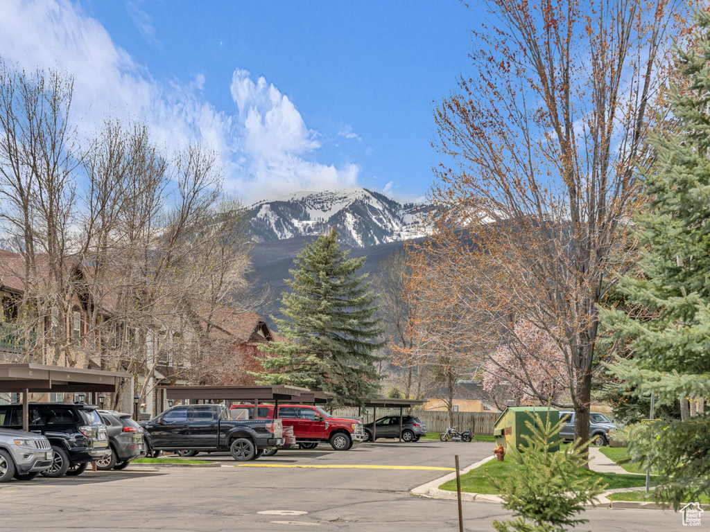 Mountain view