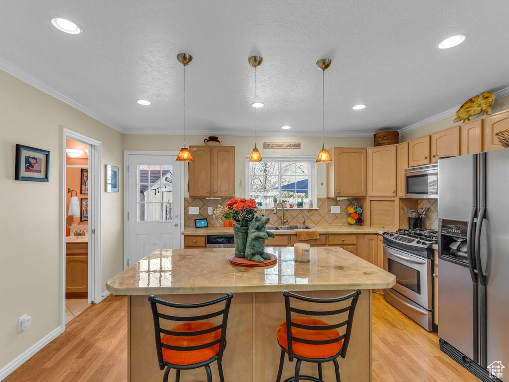Kitchen with appliances with stainless steel finishes, a sink, light wood finished floors, tasteful backsplash, and a kitchen island