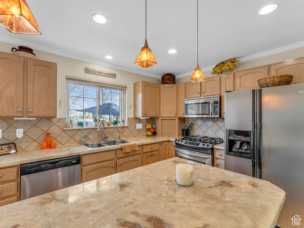 Kitchen with crown molding, appliances with stainless steel finishes, a sink, and light brown cabinets