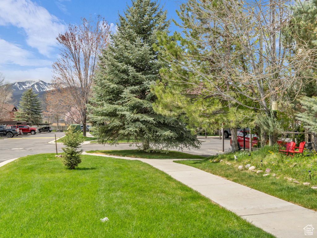 View of property\\\'s community with a lawn and a mountain view