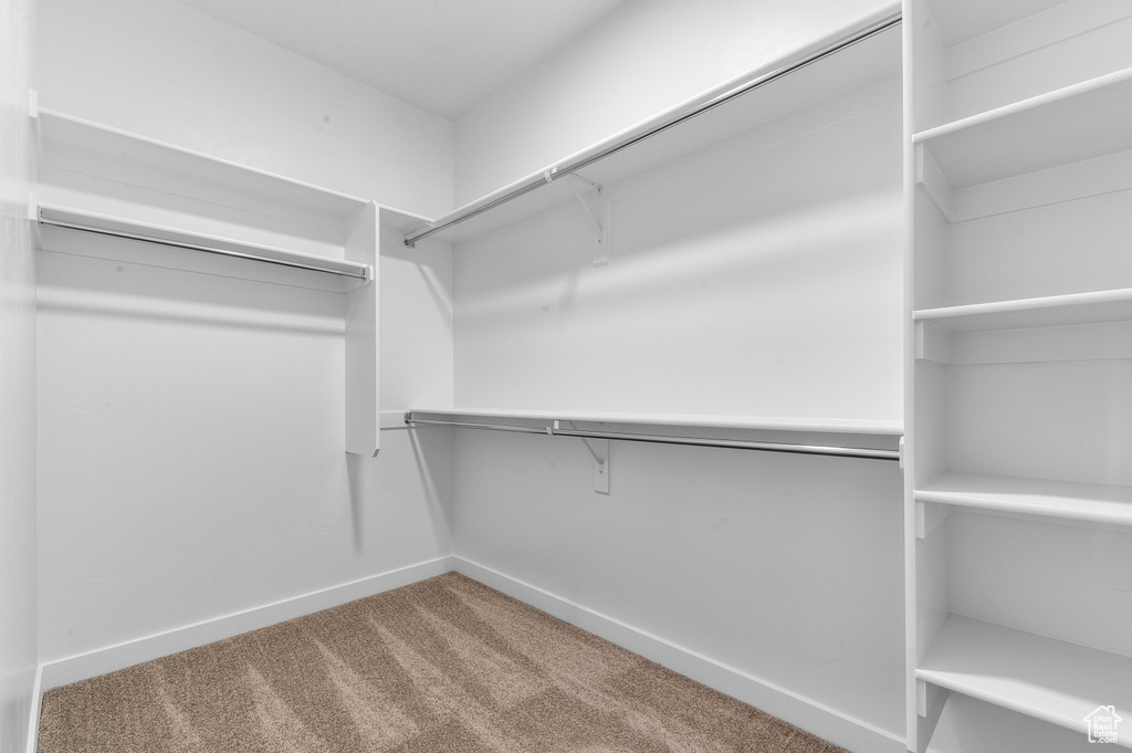 Spacious closet featuring carpet flooring