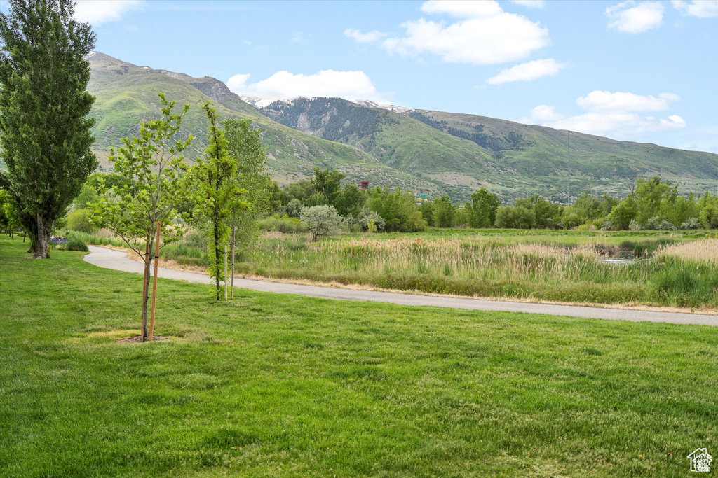 Mountain view