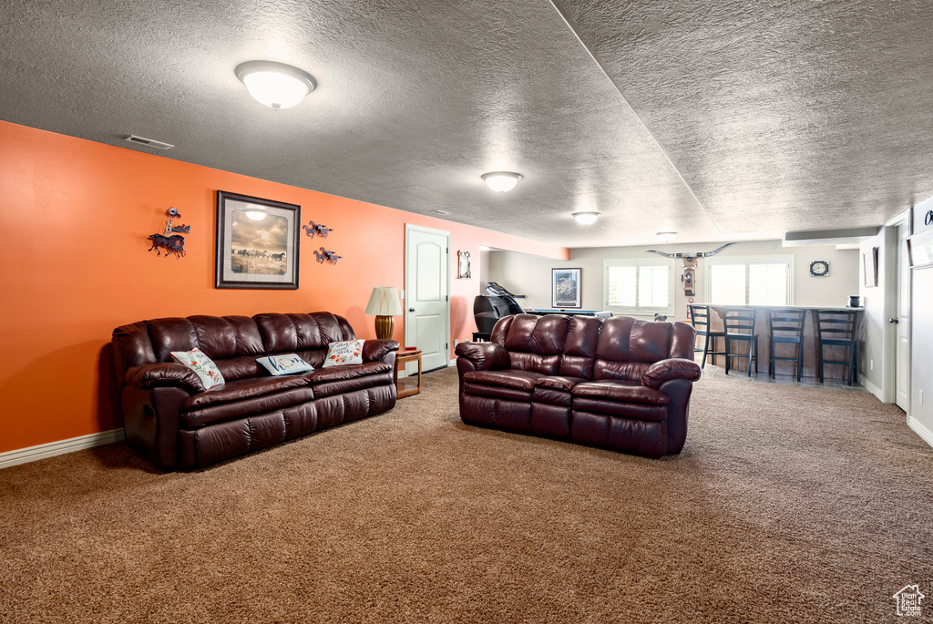 Living room with carpet flooring and a textured ceiling