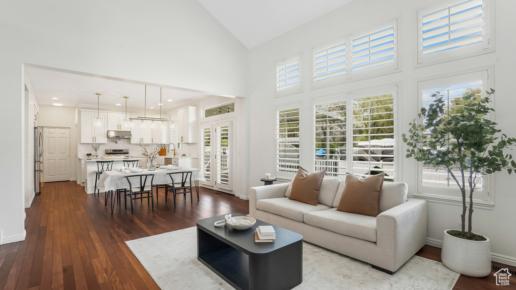 Living room featuring high vaulted ceiling and dark wood-type flooring