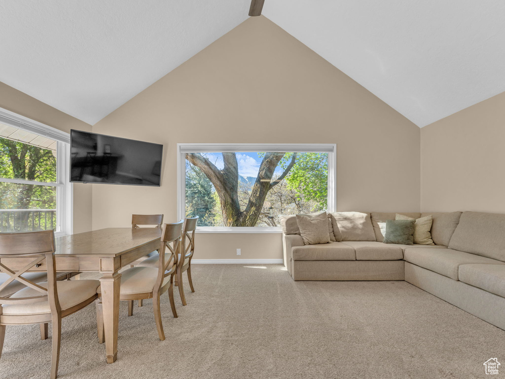 Living room with a healthy amount of sunlight, baseboards, high vaulted ceiling, and light colored carpet