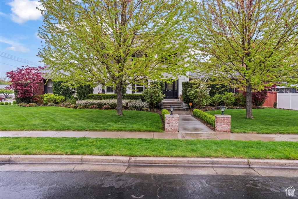 Obstructed view of property with fence and a front lawn