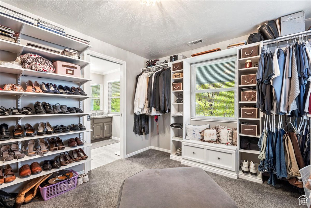Walk in closet featuring carpet flooring and visible vents