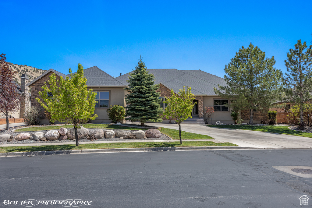 View of property hidden behind natural elements with concrete driveway, roof with shingles, and stucco siding