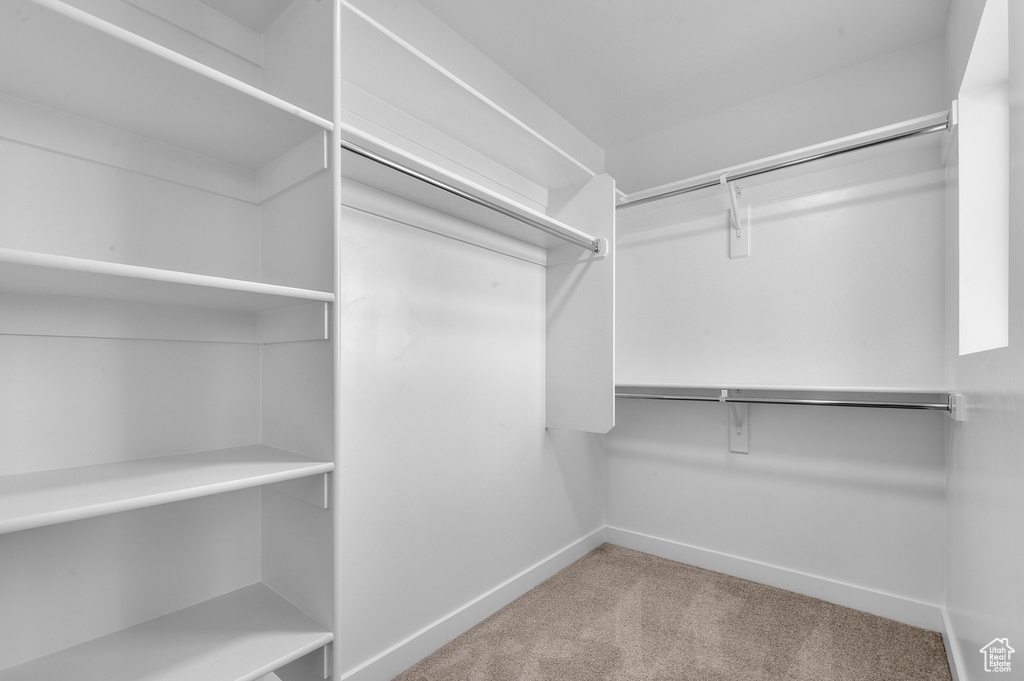 Walk in closet featuring carpet flooring