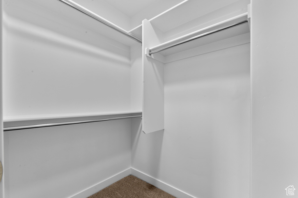 Walk in closet featuring dark colored carpet