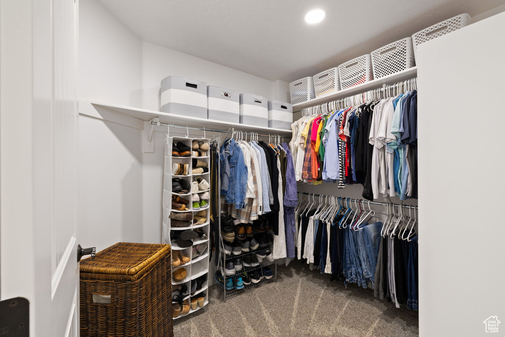 Spacious closet with carpet flooring