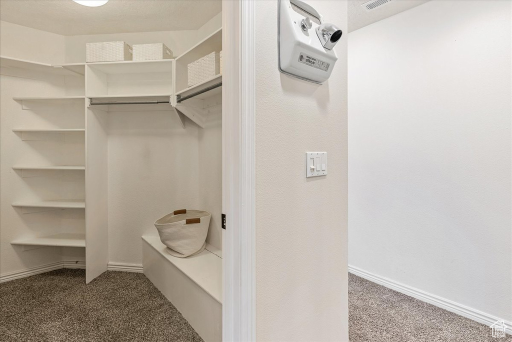 Spacious closet featuring carpet flooring