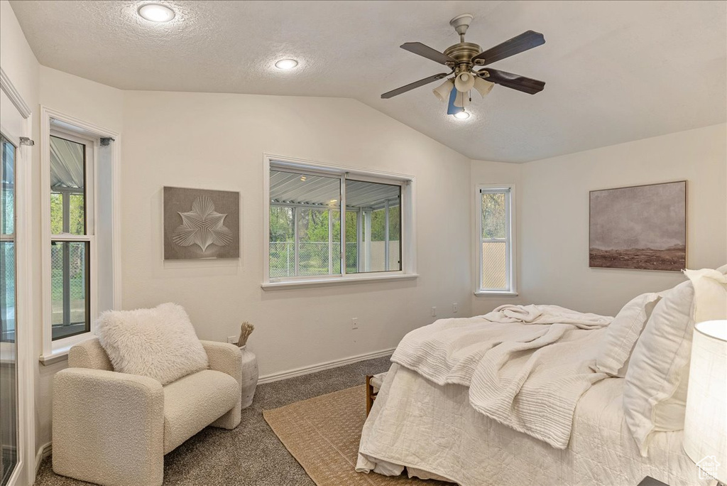 Bedroom featuring baseboards, multiple windows, carpet, and vaulted ceiling