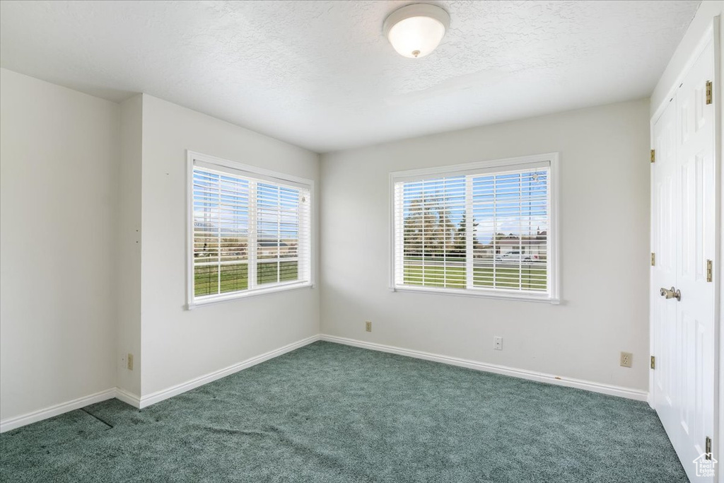 Carpeted spare room with a textured ceiling, baseboards, and plenty of natural light