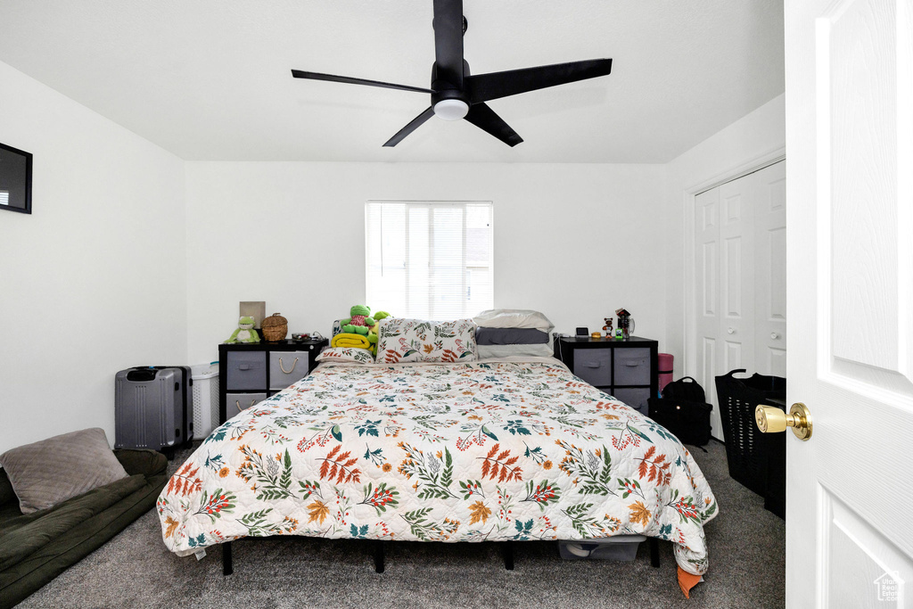 Bedroom featuring carpet floors, ceiling fan, and a closet
