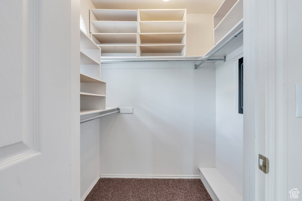 Spacious closet with carpet floors