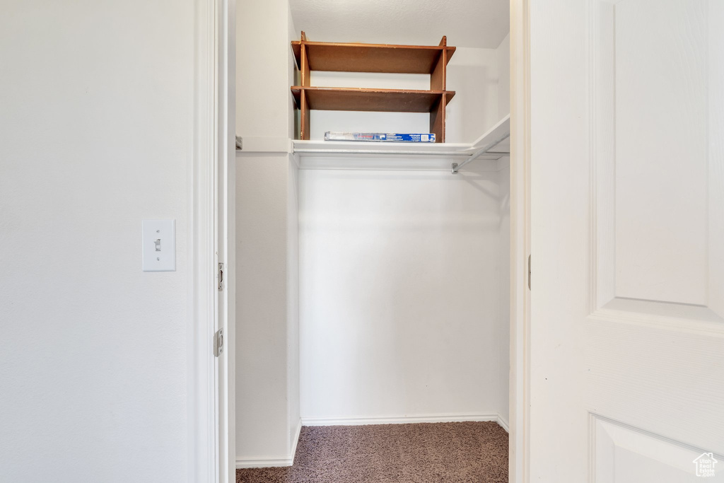 Spacious closet featuring carpet floors