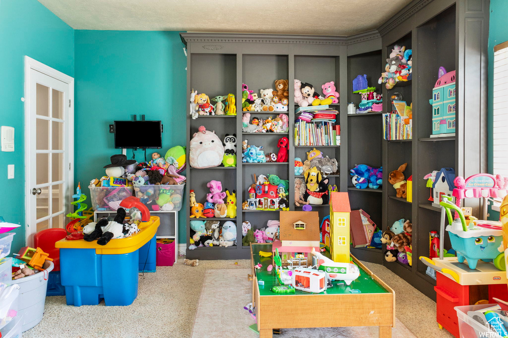 Rec room with carpet floors
