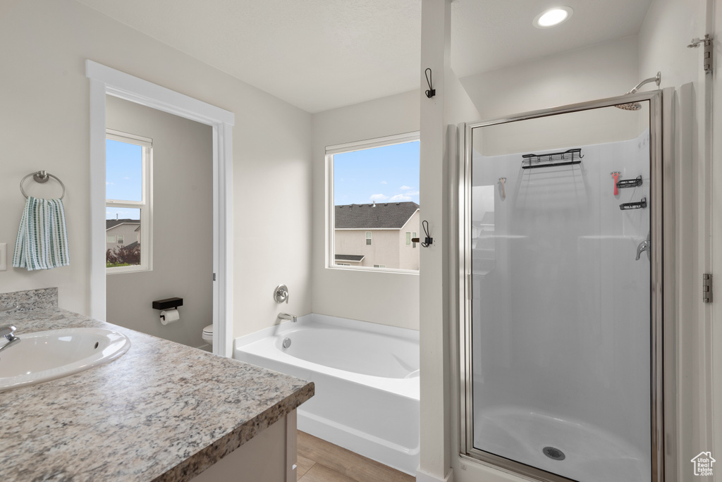 Full bathroom featuring plenty of natural light, a bath, a stall shower, and vanity