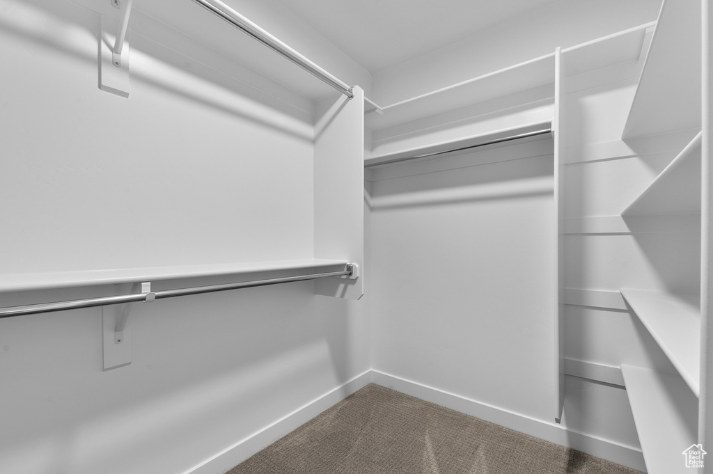 Walk in closet featuring dark carpet