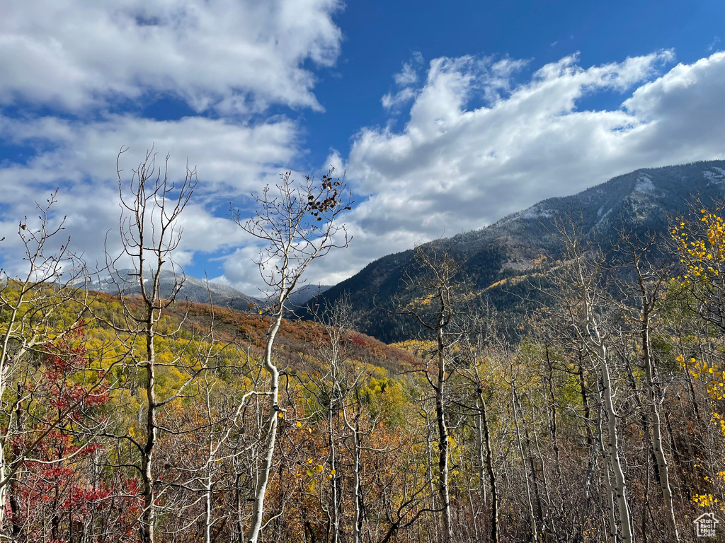 View of mountain feature