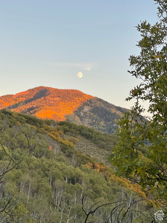 Mountain view featuring a forest view