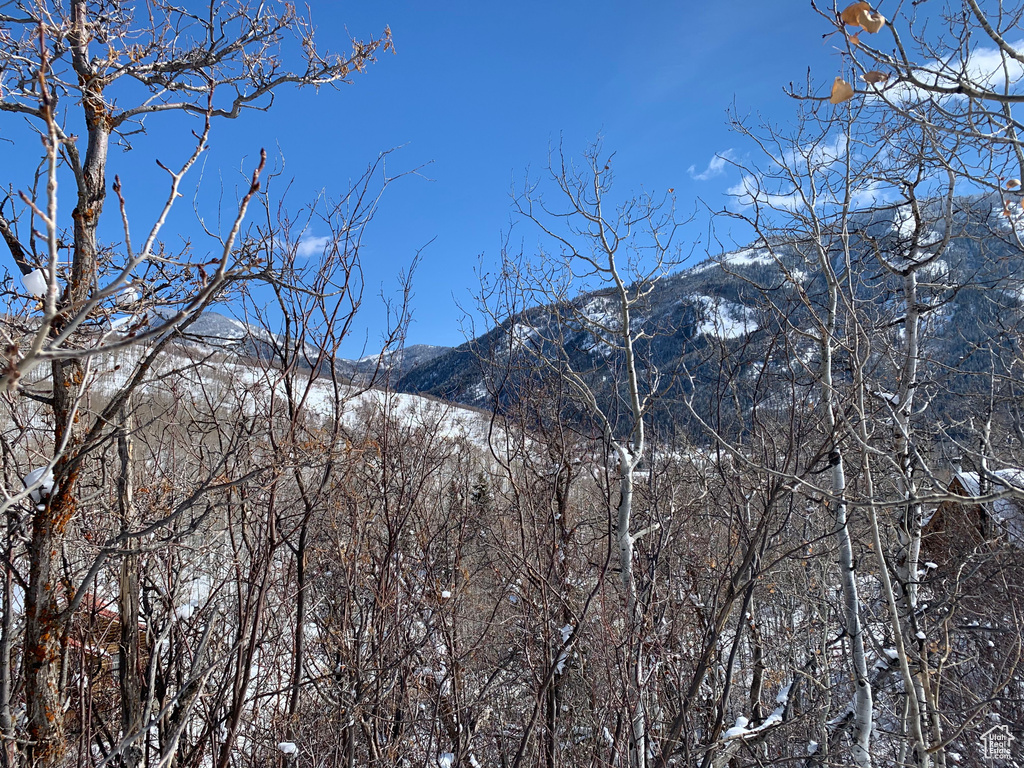 Property view of mountains