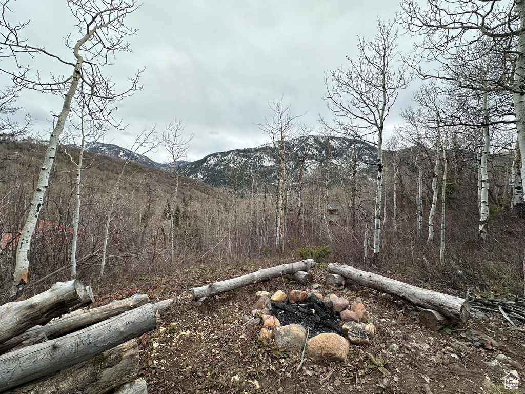 View of local wilderness featuring a forest view and a mountain view