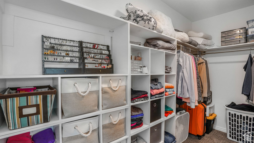 Spacious closet featuring carpet