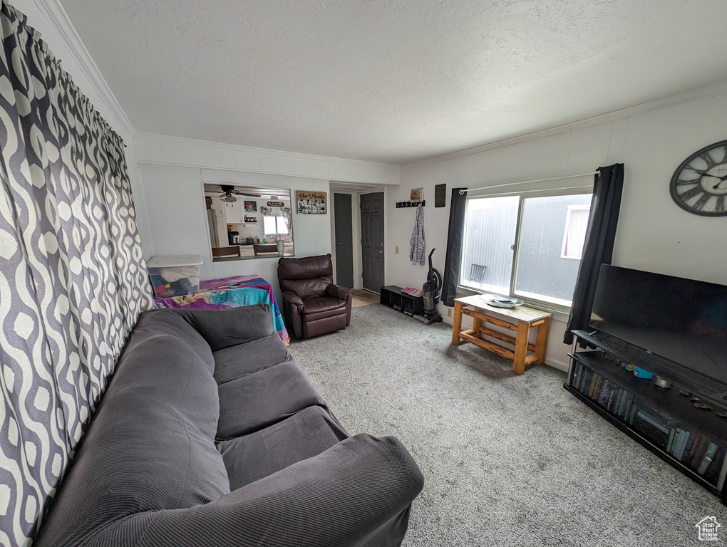 Carpeted living room with crown molding, a textured ceiling, and ceiling fan