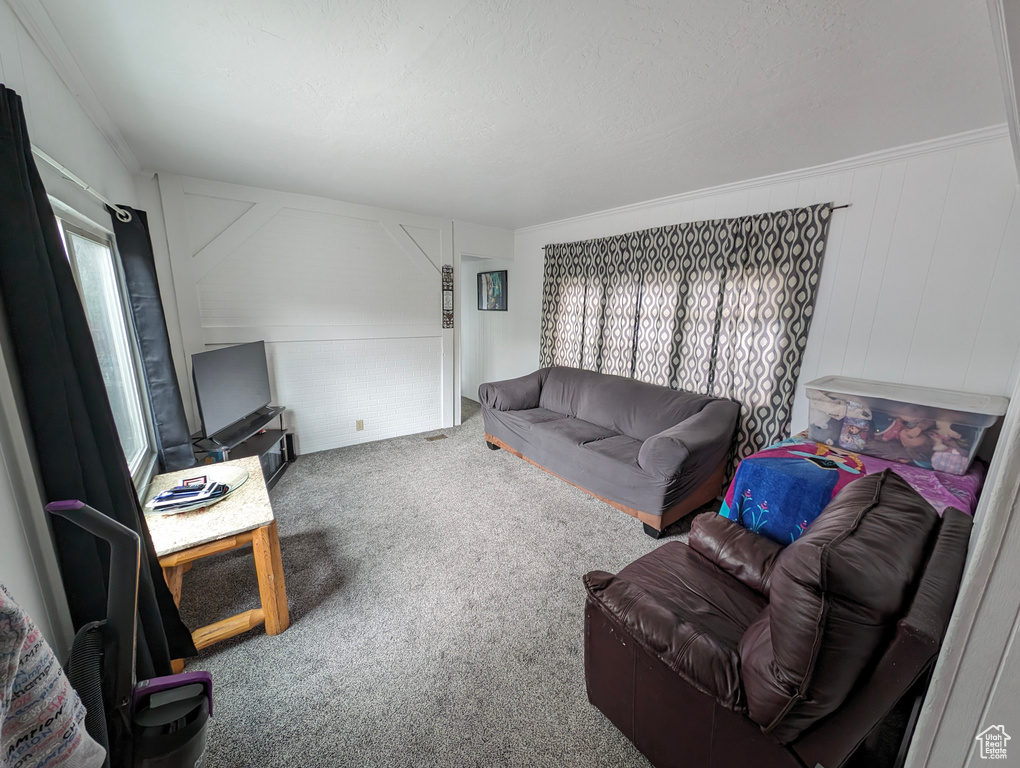 Carpeted living area with a decorative wall and a healthy amount of sunlight