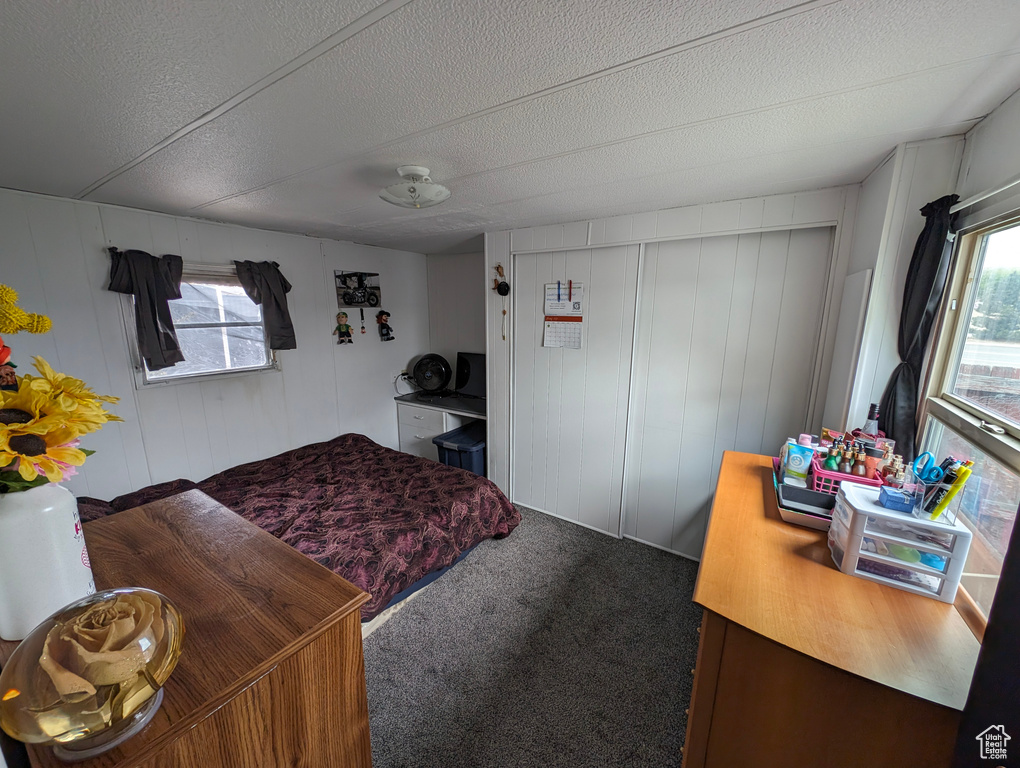 Carpeted bedroom with multiple windows, a decorative wall, and a textured ceiling