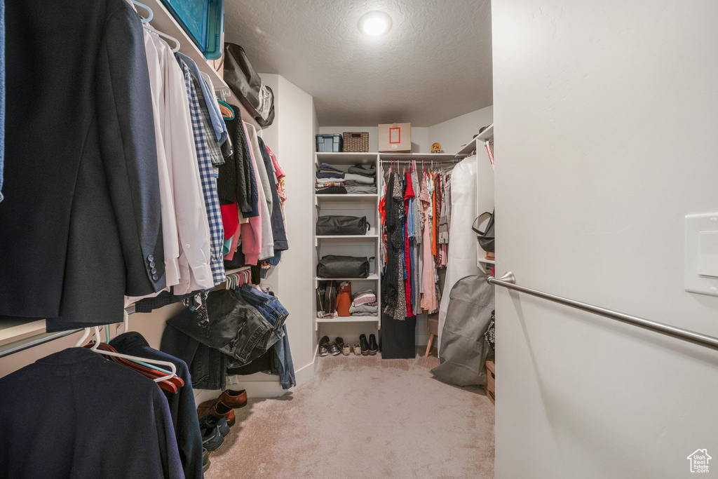 Spacious closet featuring carpet