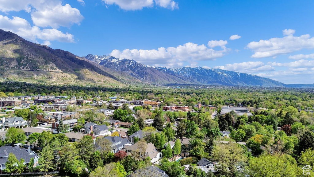 Mountain view