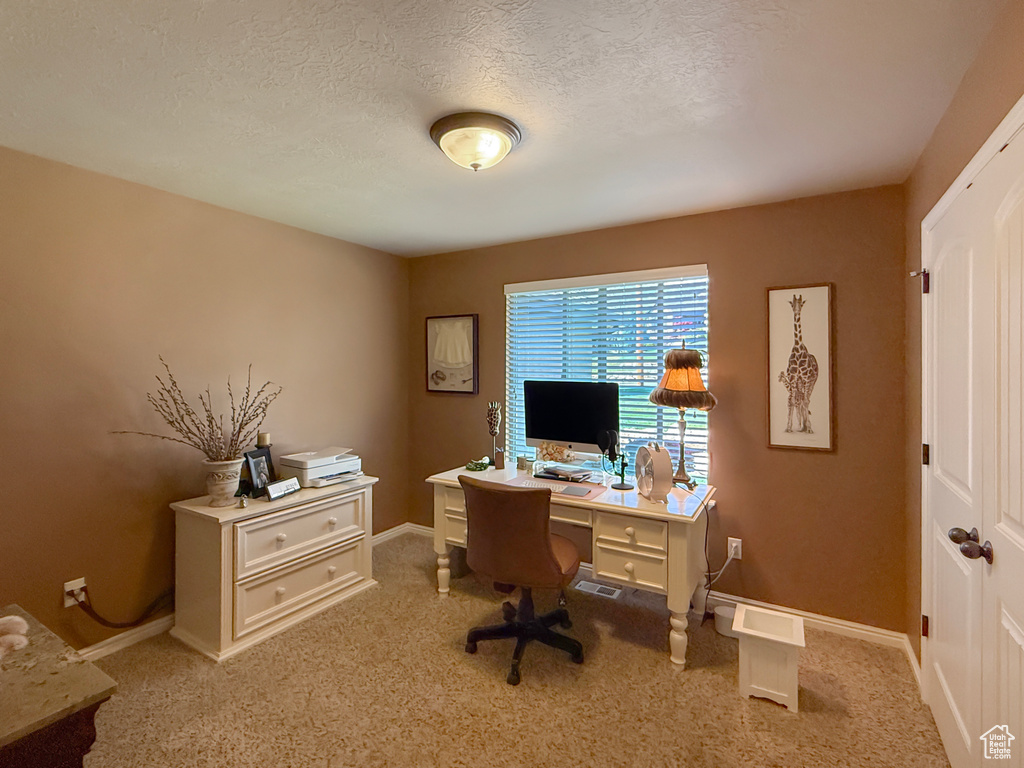 Office area with baseboards, a textured ceiling, and light colored carpet