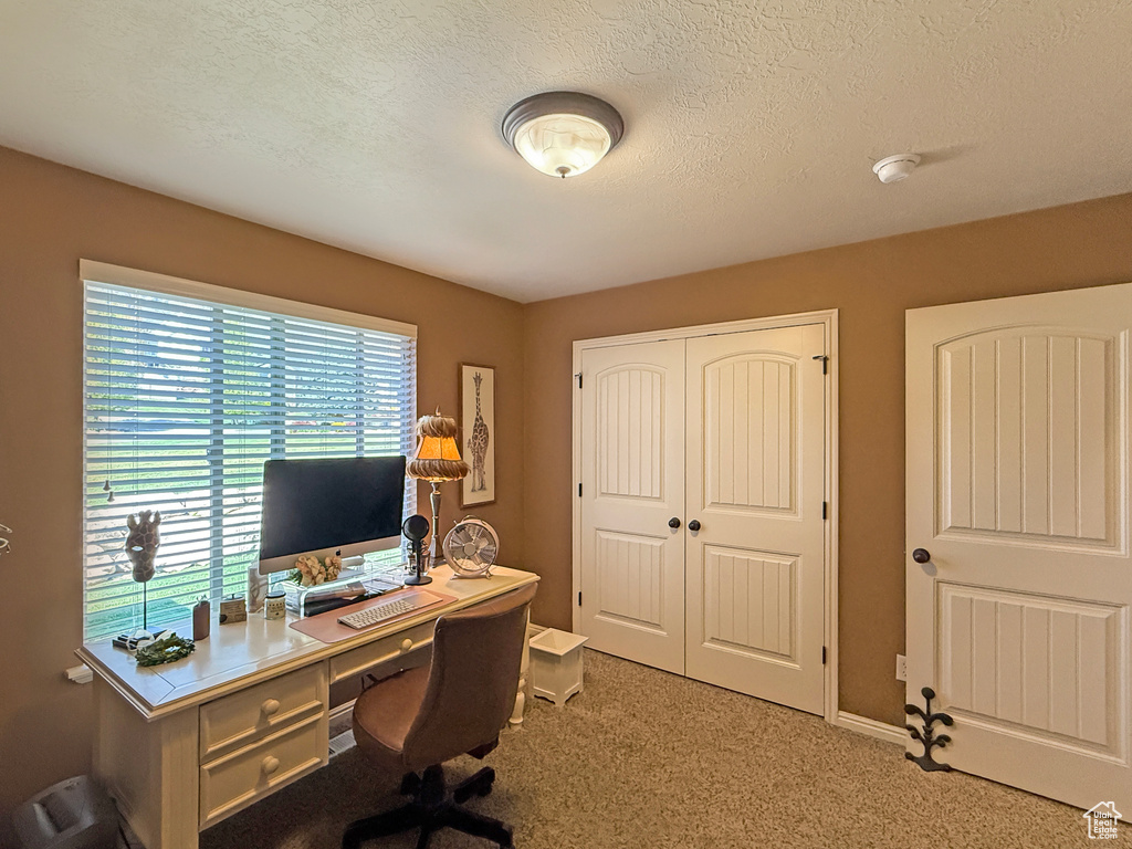 Carpeted home office with a textured ceiling