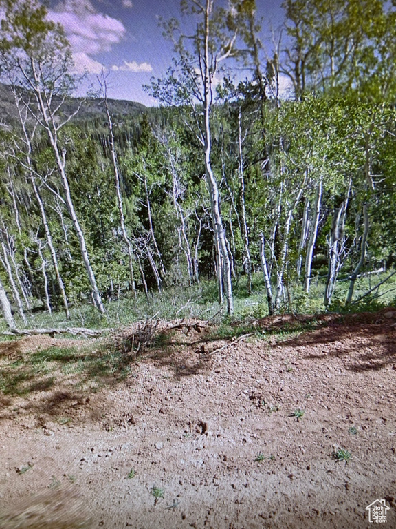 View of nature