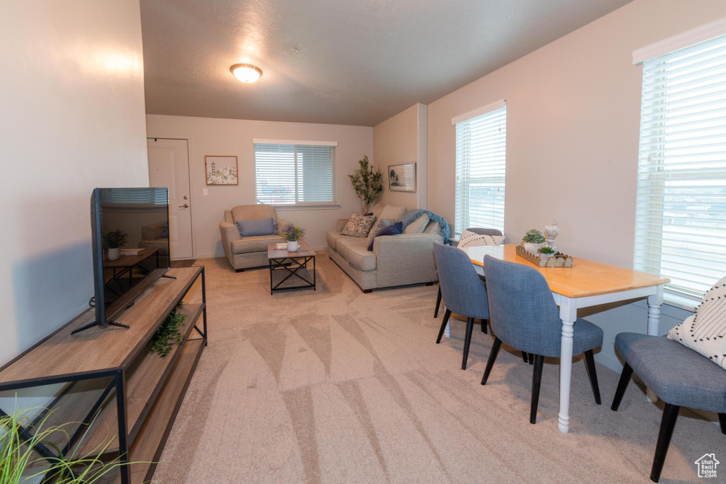 Dining area featuring light carpet