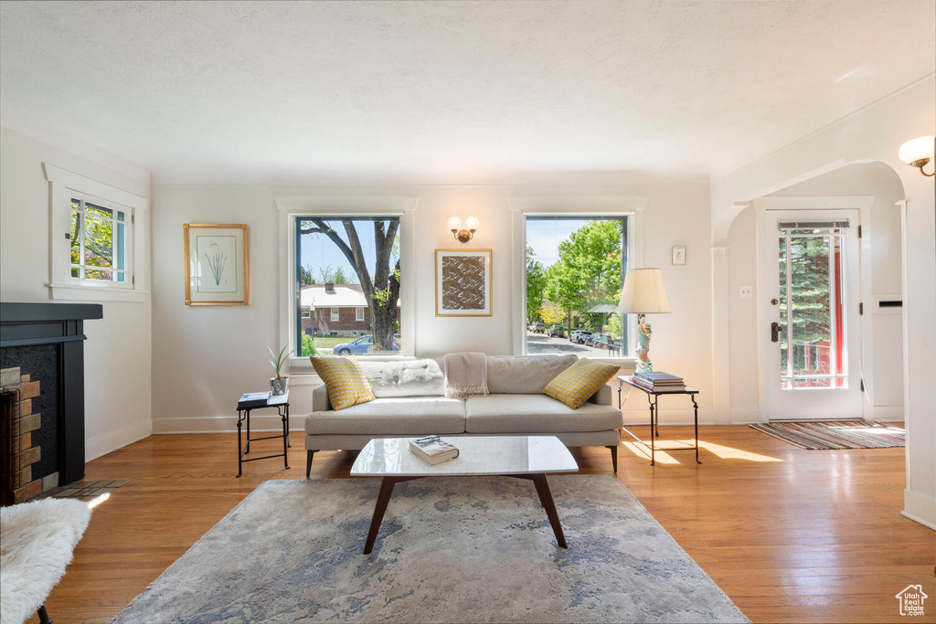 Living room featuring a fireplace, baseboards, a healthy amount of sunlight, and wood finished floors