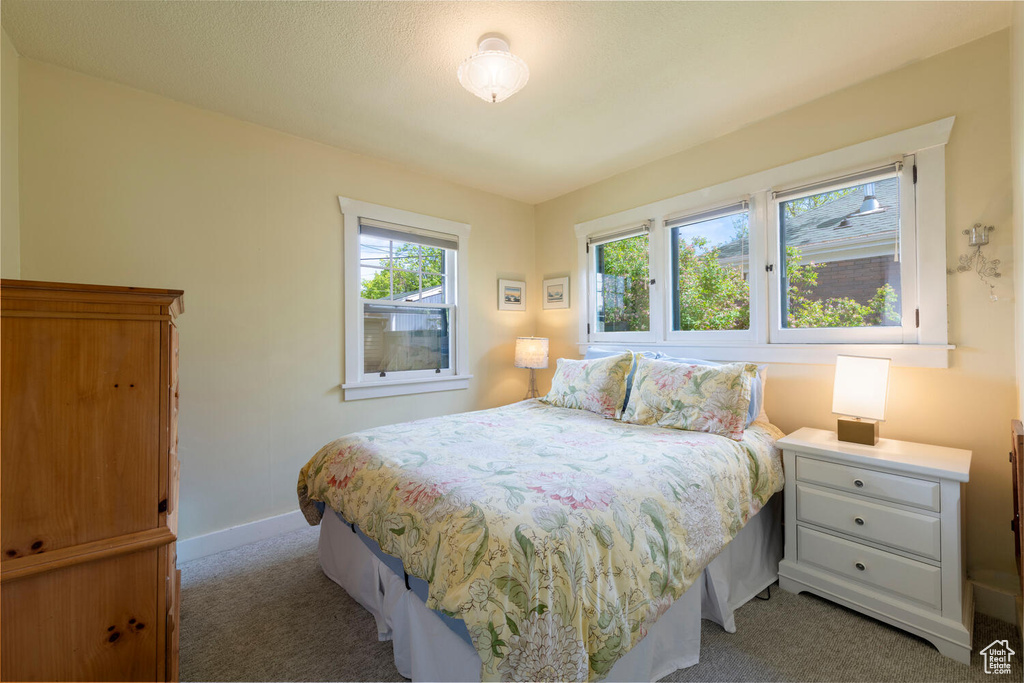 Bedroom featuring baseboards and carpet flooring
