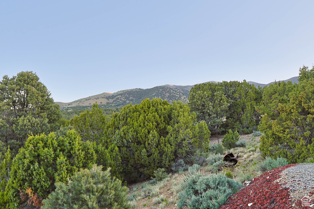 Mountain view with a view of trees